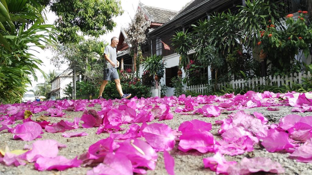 Wisdom Laos Hotel Luang Prabang Eksteriør billede