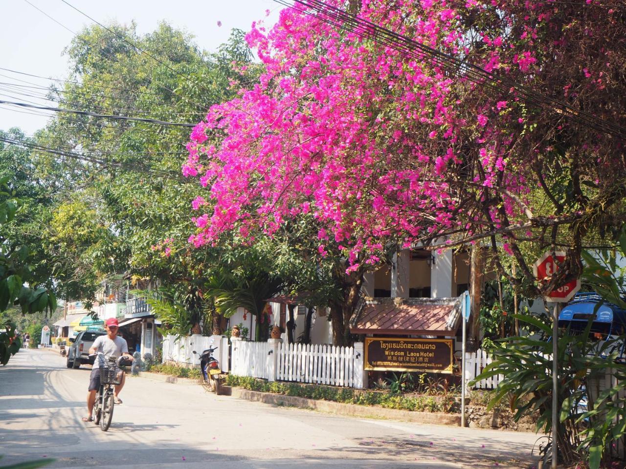 Wisdom Laos Hotel Luang Prabang Eksteriør billede
